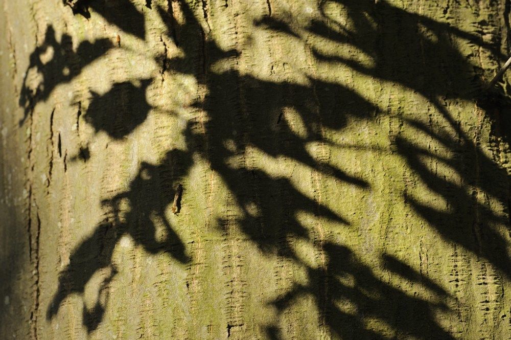 Wittenberg_licht_021.jpg