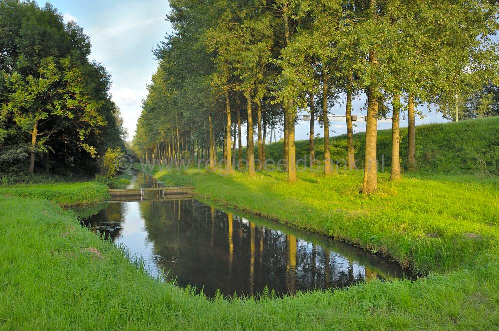 Woudenbergse_grift_011.jpg