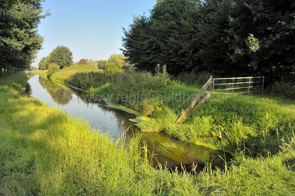 Woudenbergse_grift_017.jpg