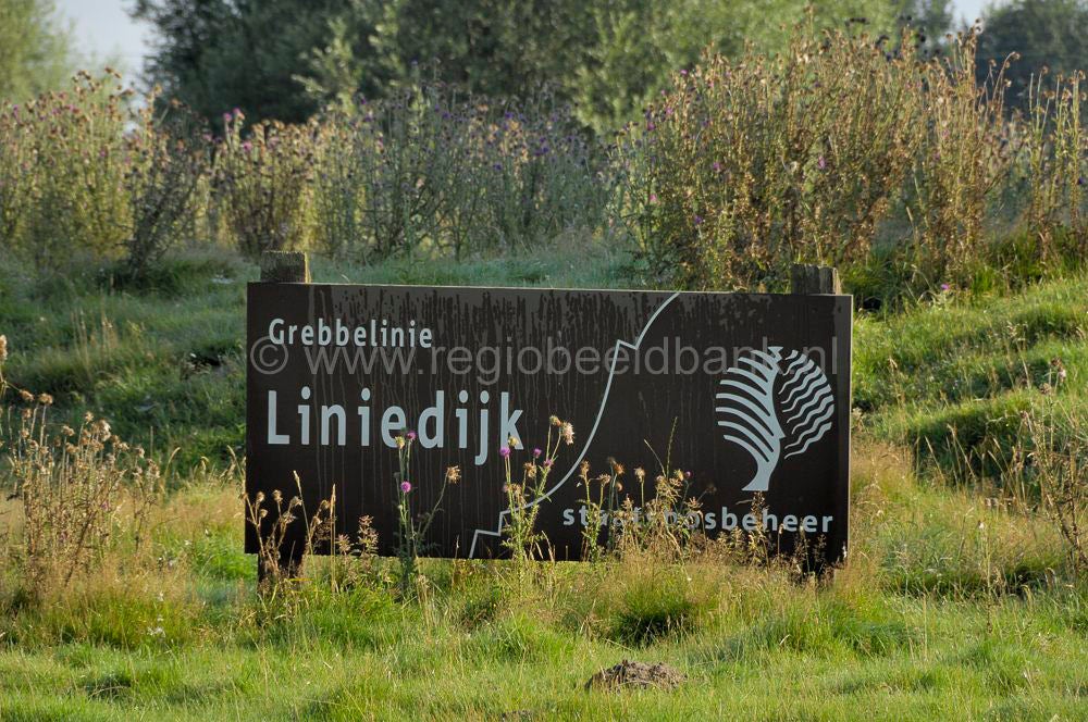 Woudenbergse_grift_019.jpg