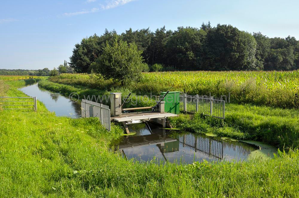 Woudenbergse_grift_025.jpg