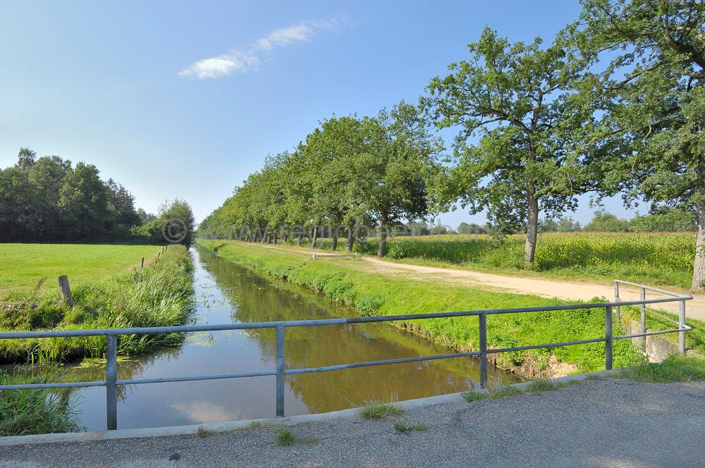 Woudenbergse_grift_031.jpg