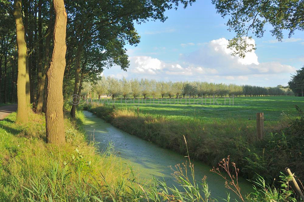 Woudenbergse_grift_033.jpg