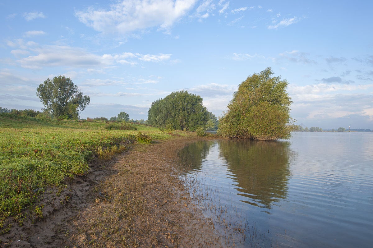 Zandslagenpad Rossum 20 06 2014