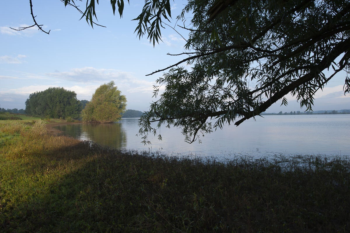 Zandslagenpad_017-1.jpg