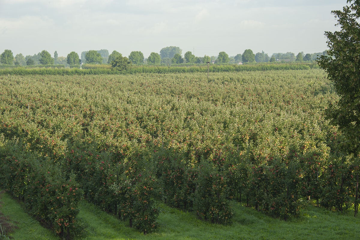 Zandslagenpad_027-1.jpg
