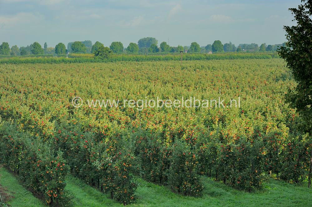 Zandslagenpad_027.jpg