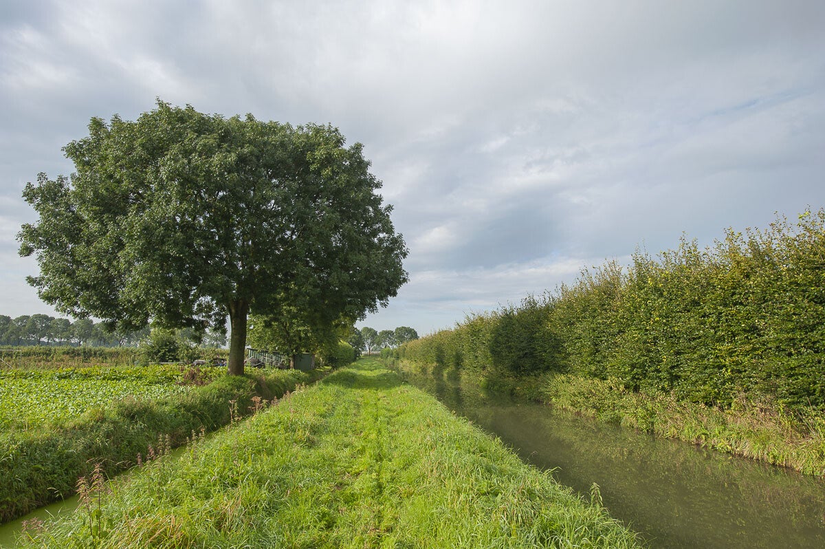 Zandslagenpad_035-1.jpg