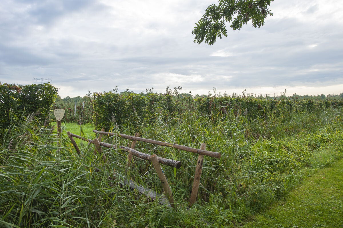 Zandslagenpad_044-1.jpg