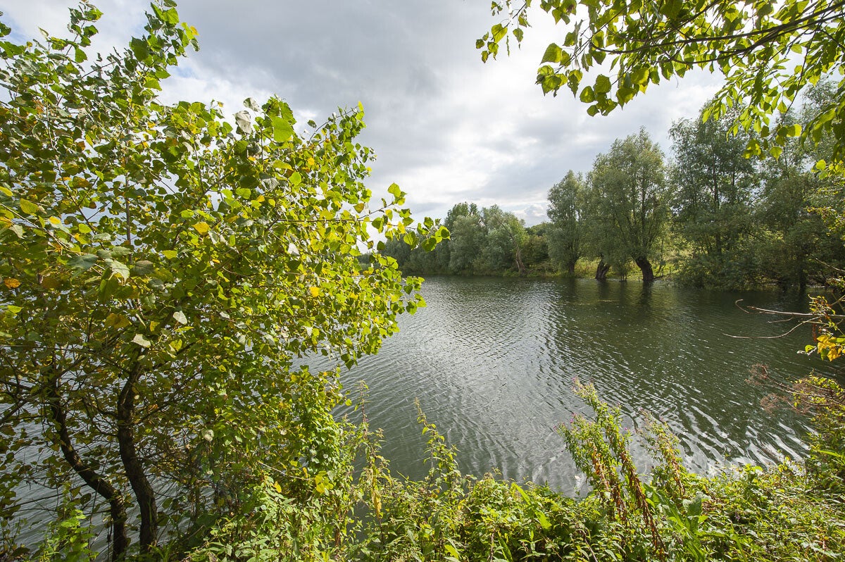Zandslagenpad_058-1.jpg
