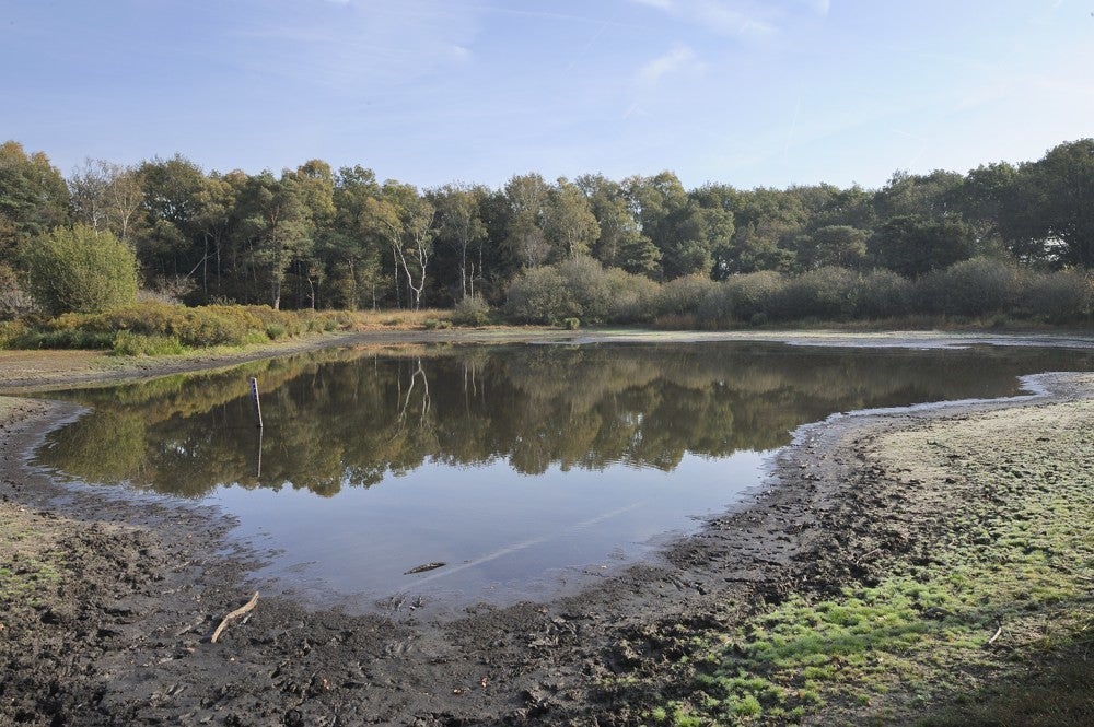 Zwartewater_113.jpg