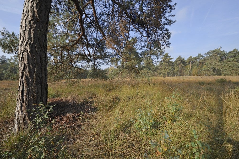 Zwartewater_115.jpg