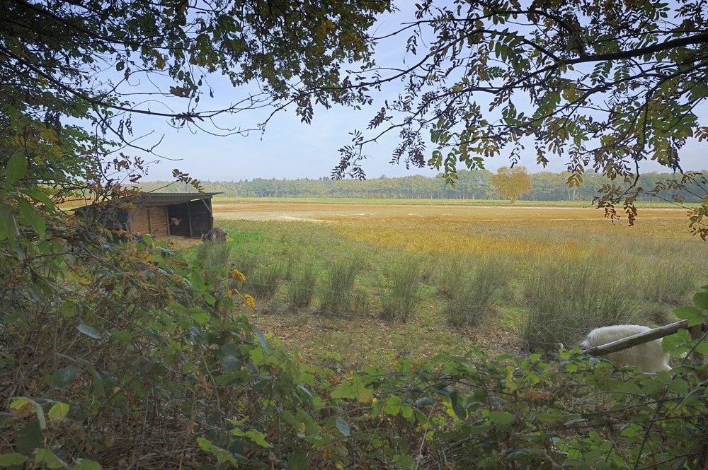 Zwartewater_121.jpg