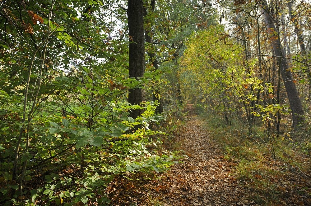 Zwartewater_123.jpg