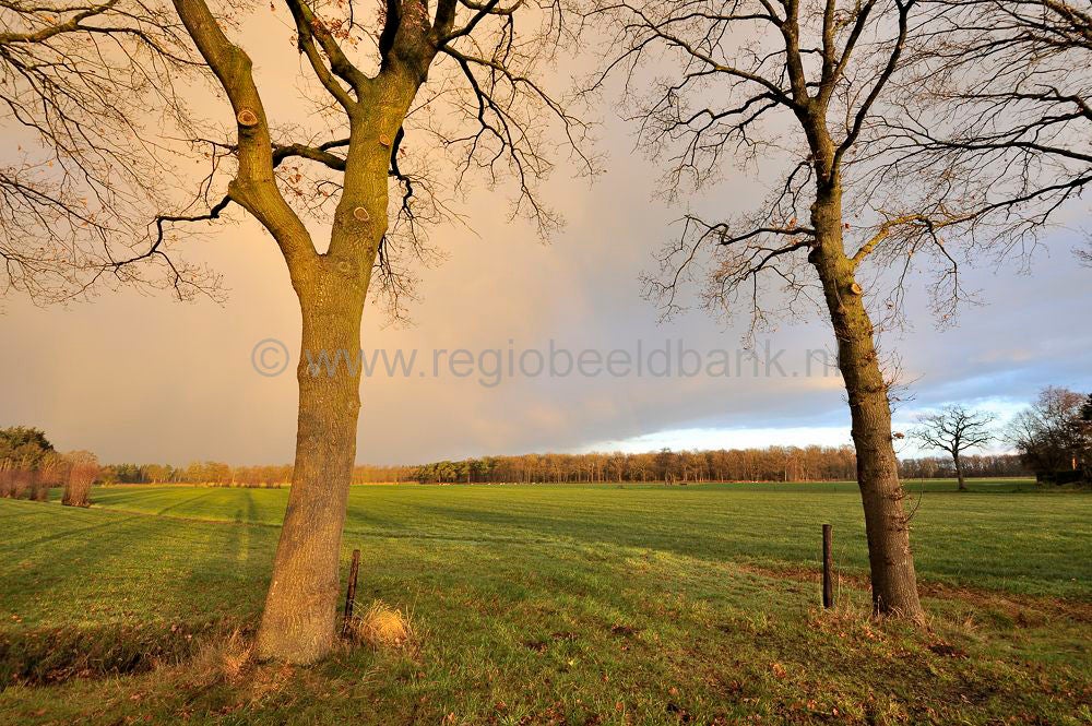 _D3B8834.jpg