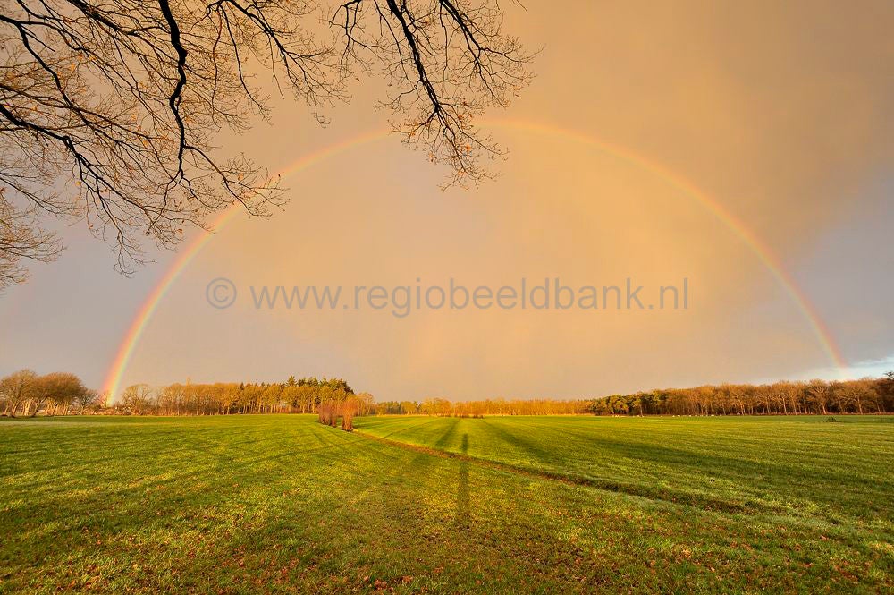 _D3B8836.jpg