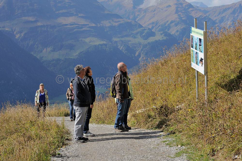 Wandelen