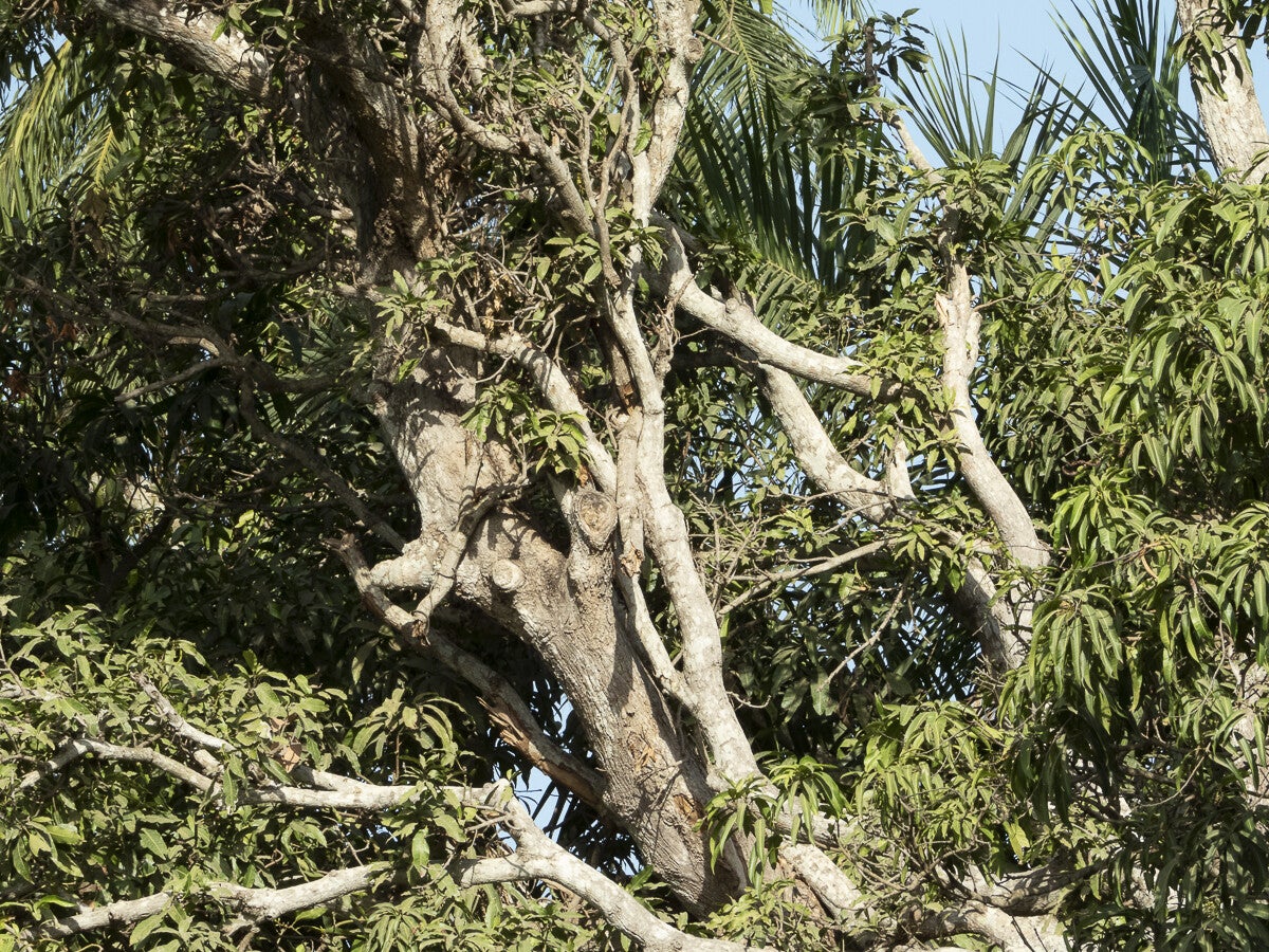 abuko_5441.jpg