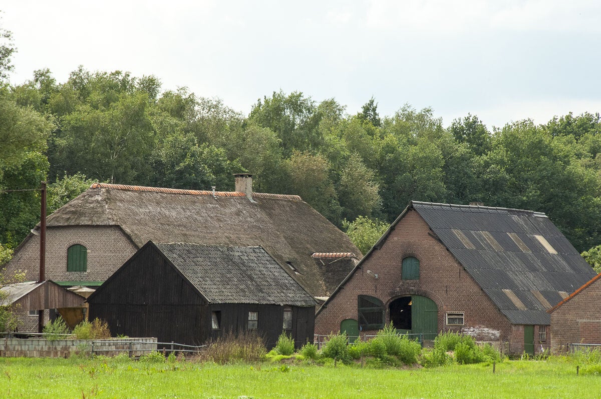 achterveld_snorrenhoefpad_080.jpg