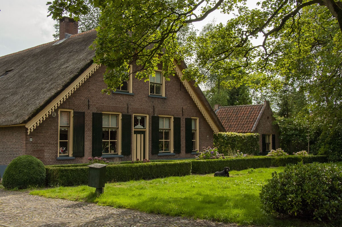 achterveld_snorrenhoefpad_084.jpg