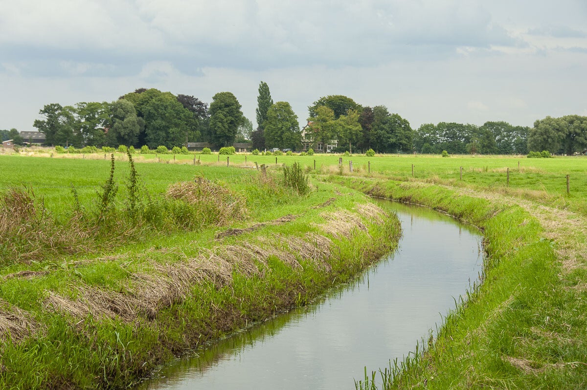 achterveld_snorrenhoefpad_090.jpg