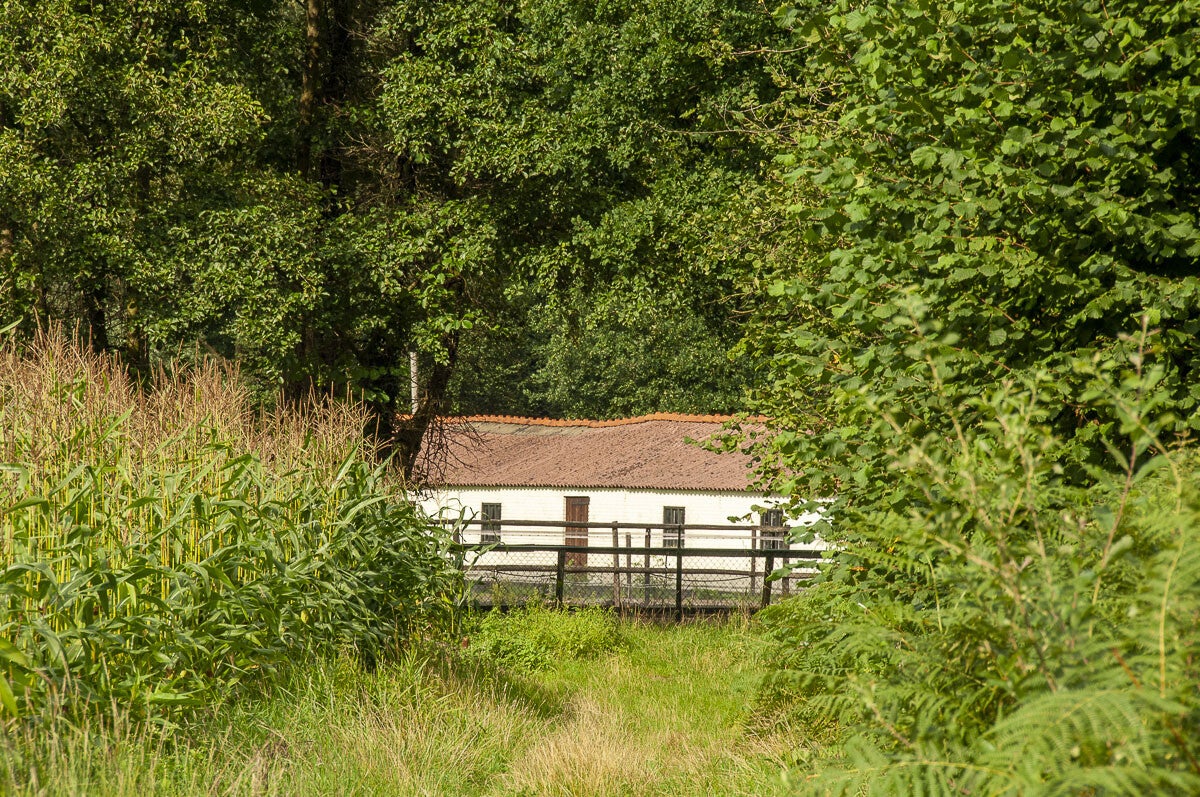 achterveld_snorrenhoefpad_093.jpg