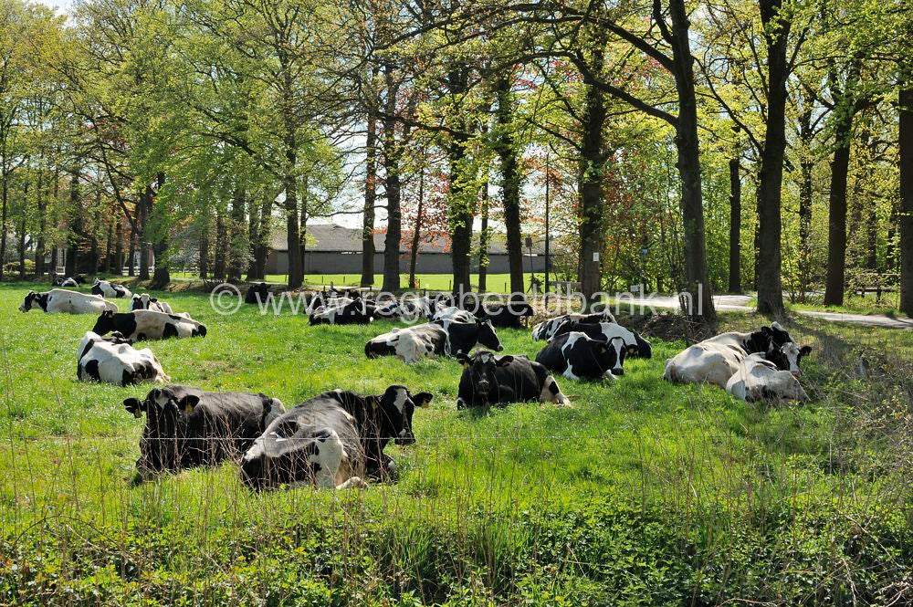 agrarisch_003-1.jpg