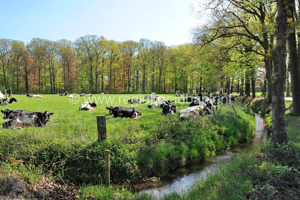 agrarisch_004-1.jpg