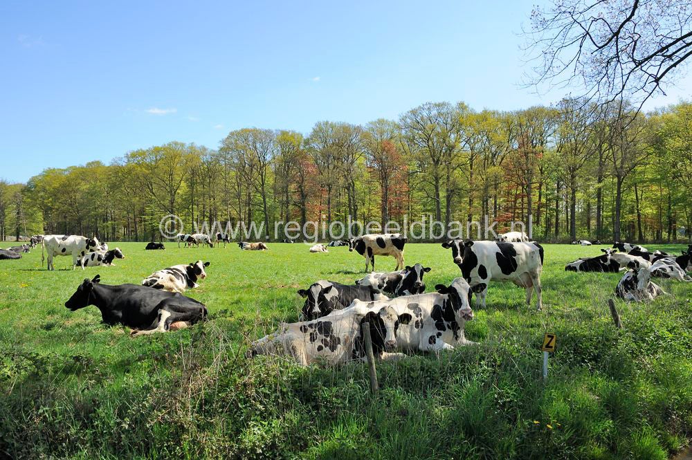 agrarisch_005-1.jpg