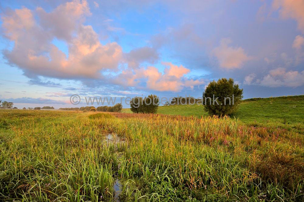 amerongese-bovenpolder_014.jpg