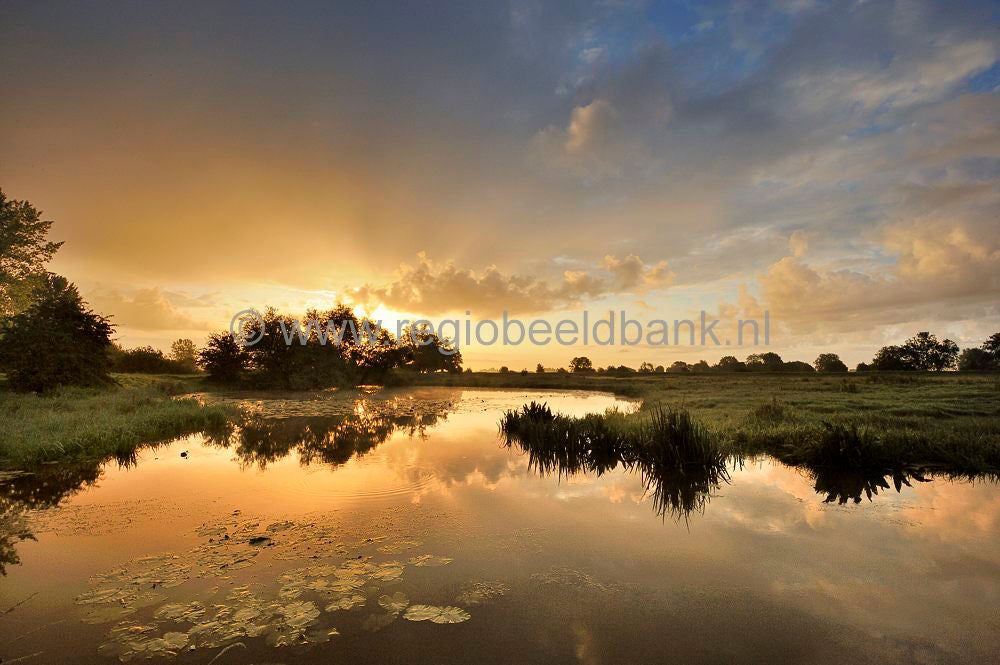 amerongese-bovenpolder_016-1.jpg