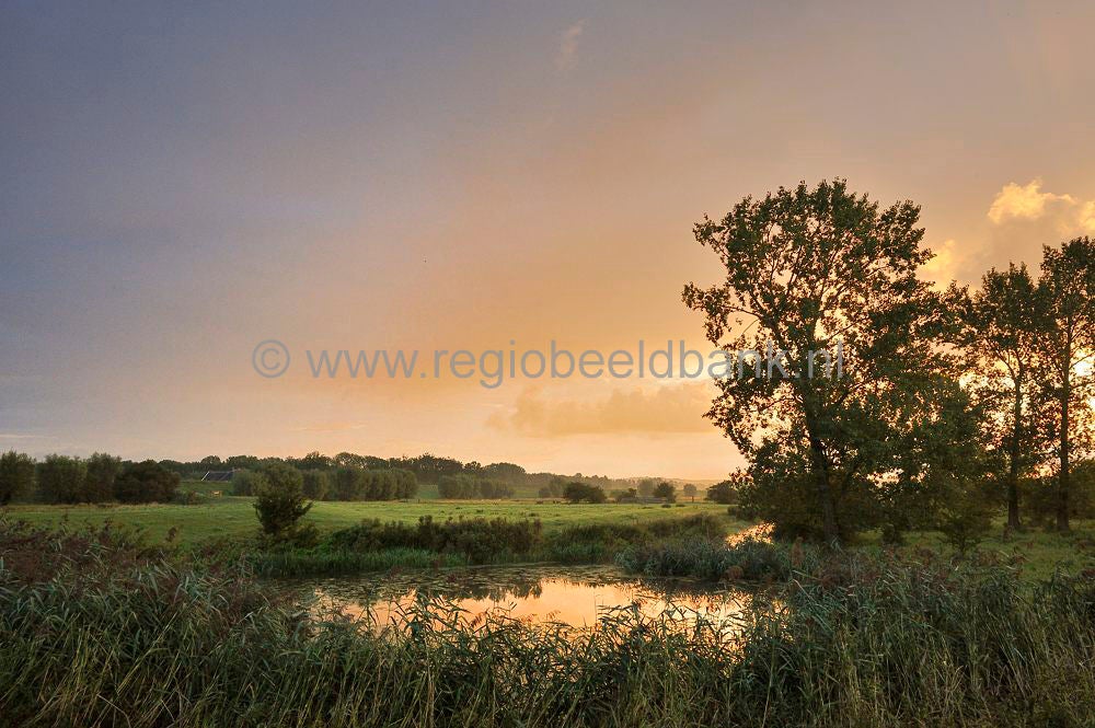 amerongese-bovenpolder_022.jpg
