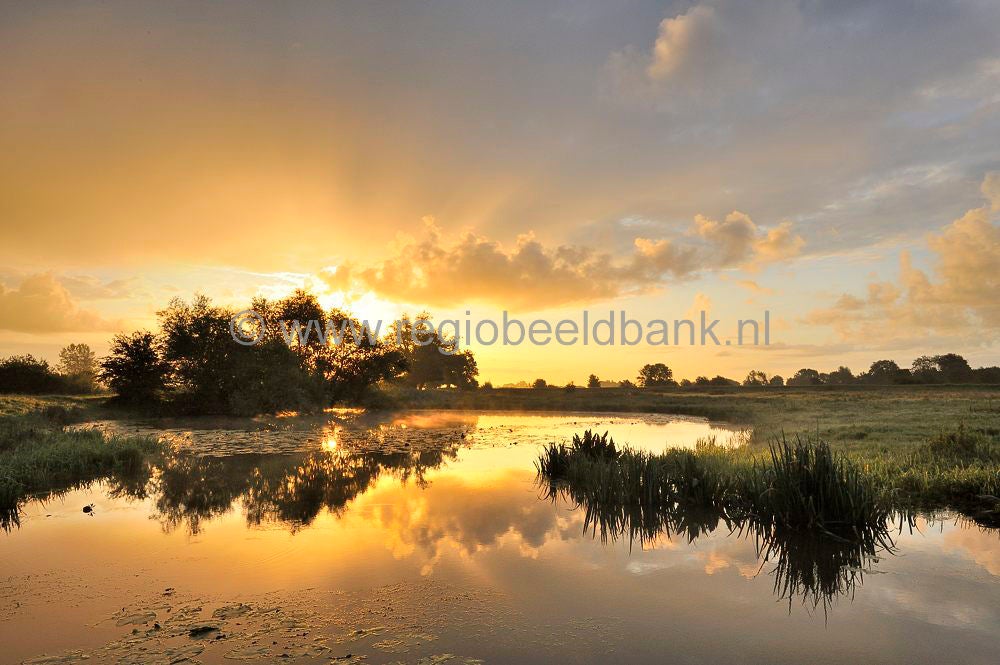 amerongese-bovenpolder_024.jpg