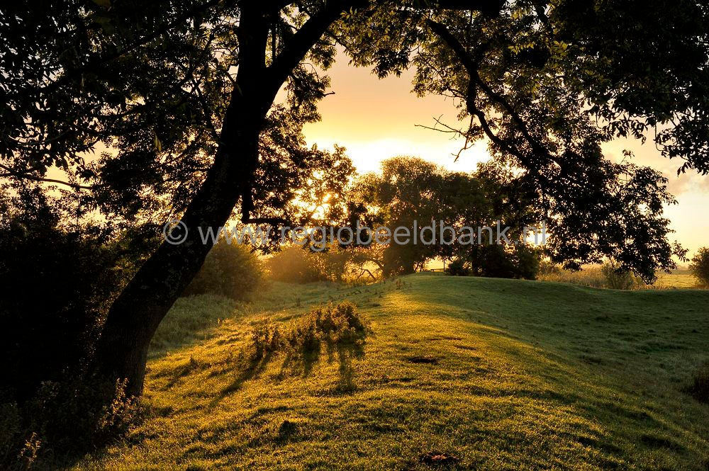 amerongese-bovenpolder_031.jpg