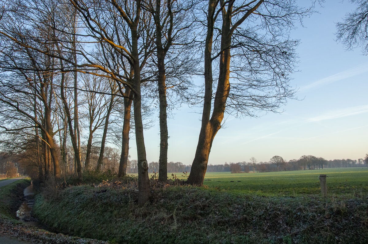 Appelpad Appel Nijkerk 13 10 2007