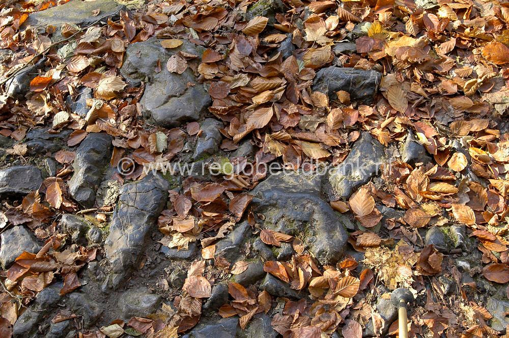 ardennen_sy_034.jpg