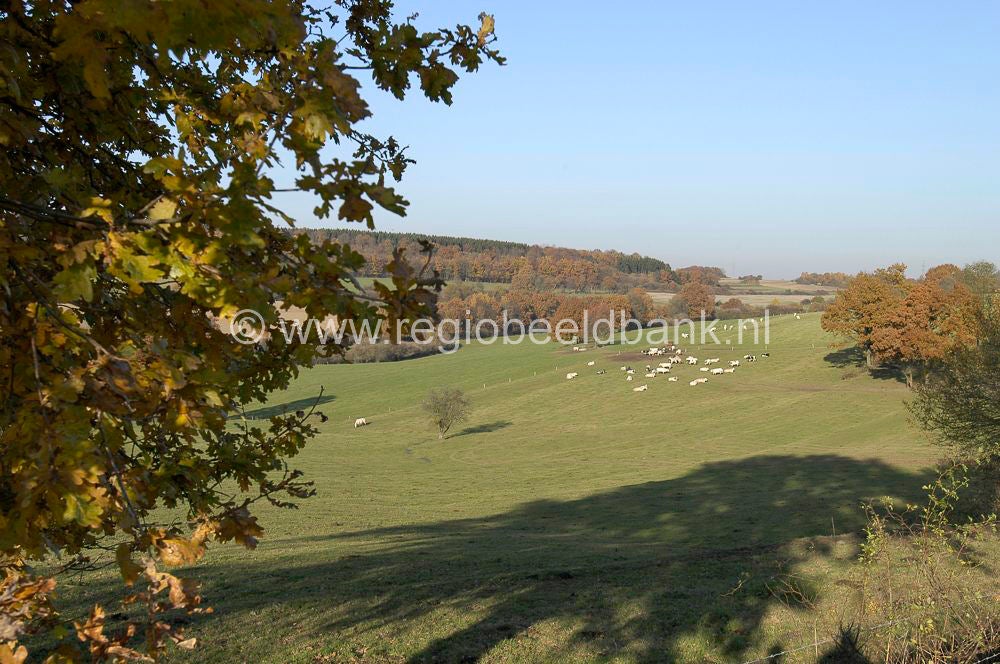 ardennen_sy_041.jpg
