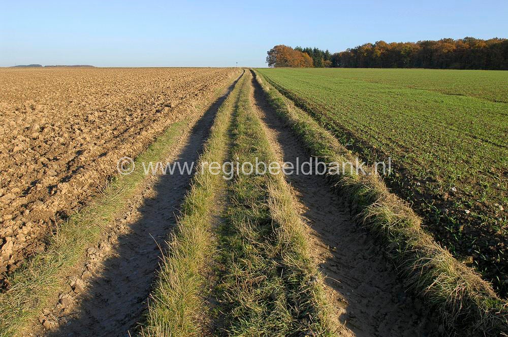 ardennen_sy_044.jpg