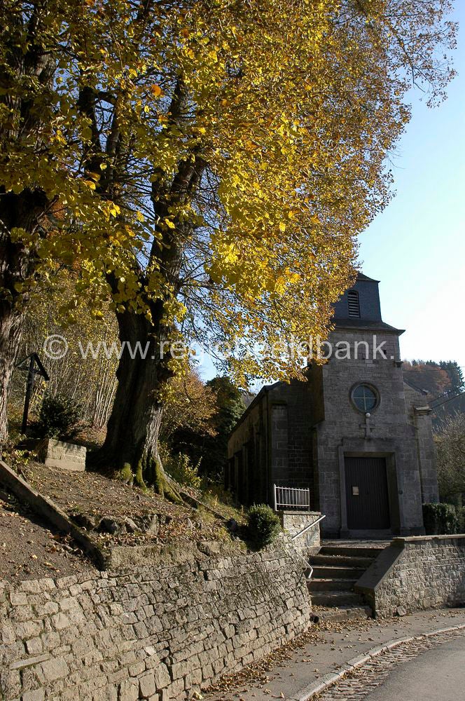 ardennen_sy_068.jpg