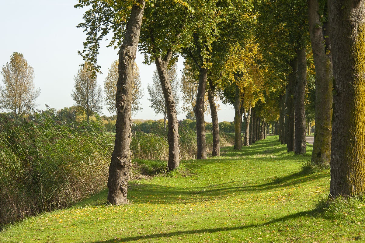 baanbrekerrpad_008-1.jpg