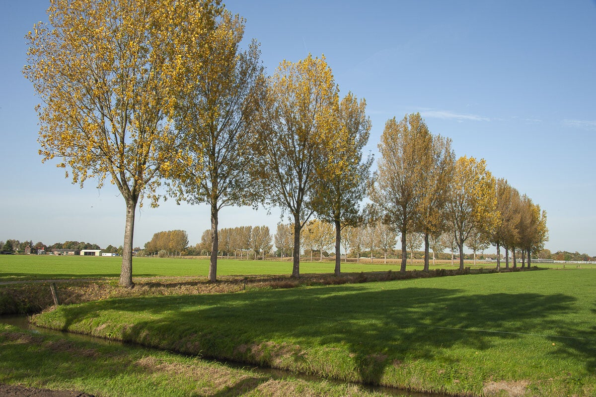 baanbrekerrpad_010-1.jpg