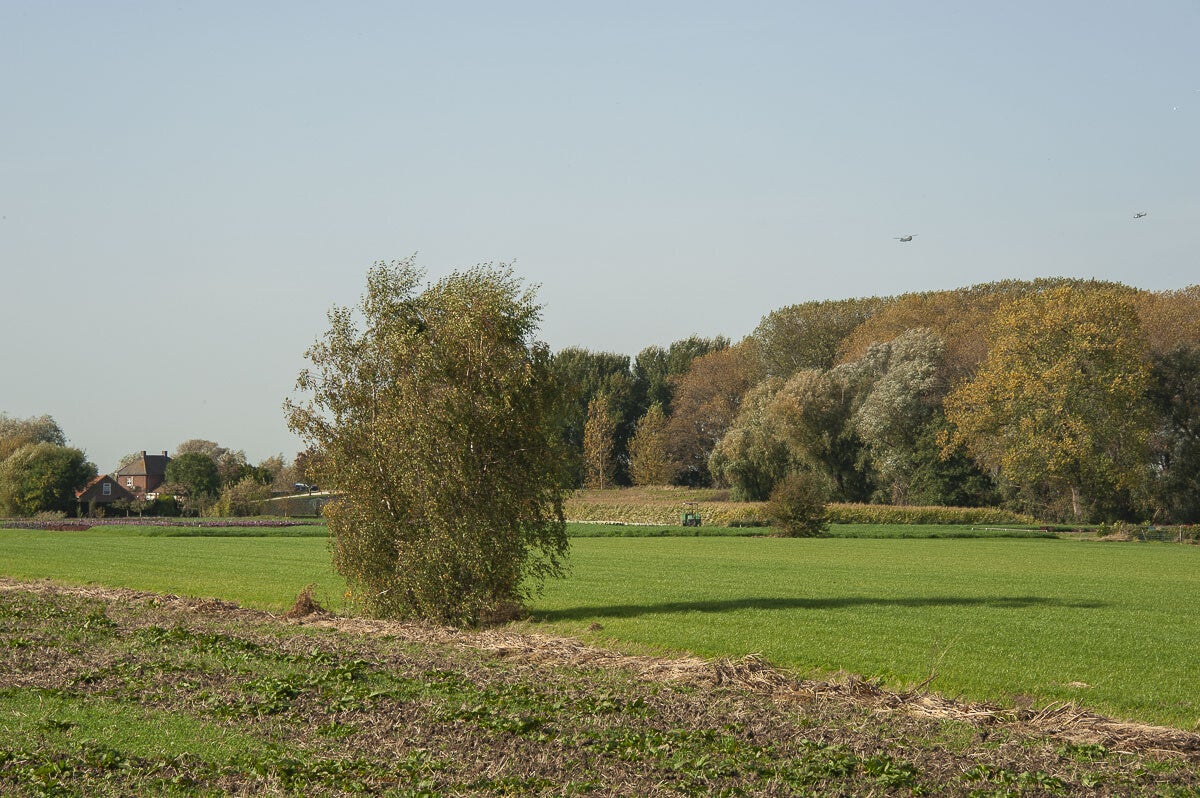 baanbrekerrpad_012-1.jpg