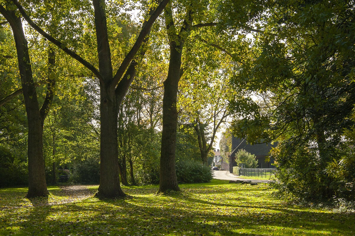 baanbrekerrpad_025-1.jpg