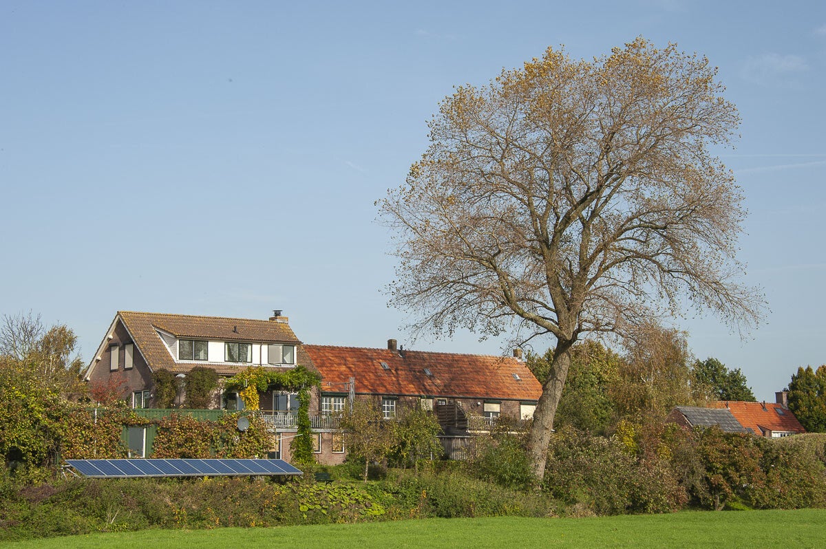 baanbrekerrpad_030-1.jpg