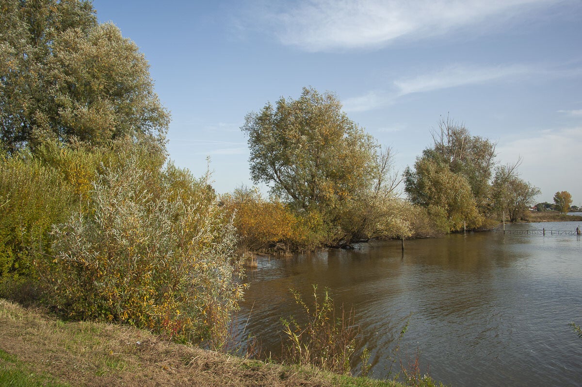 baanbrekerrpad_032-1.jpg