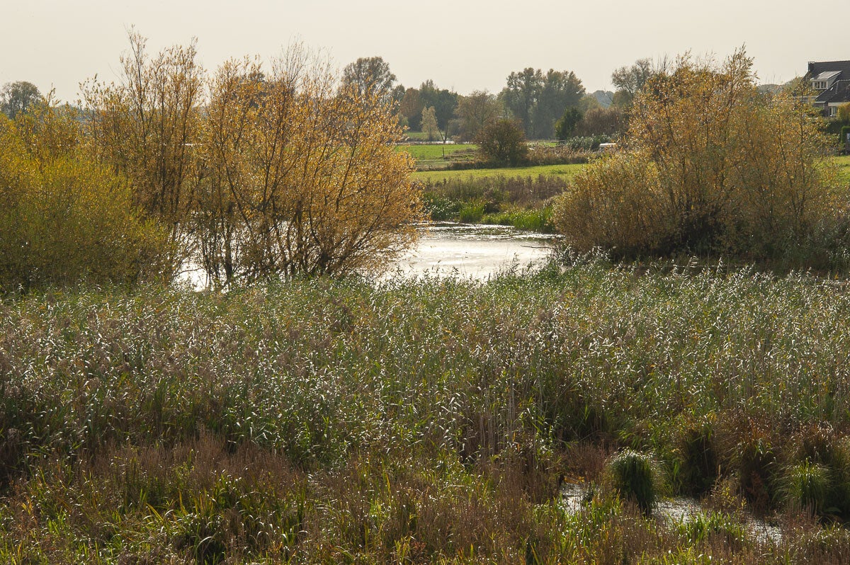 baanbrekerrpad_034-1.jpg