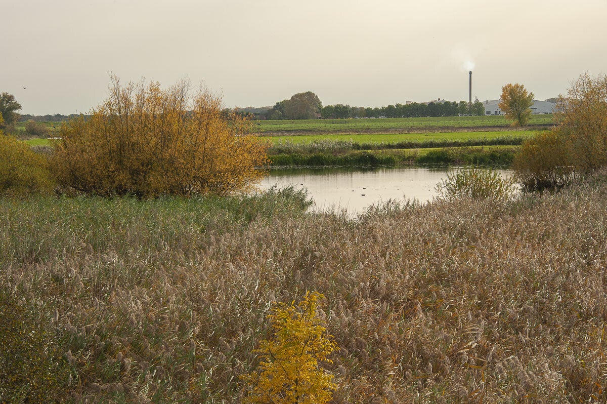 baanbrekerrpad_049-1.jpg