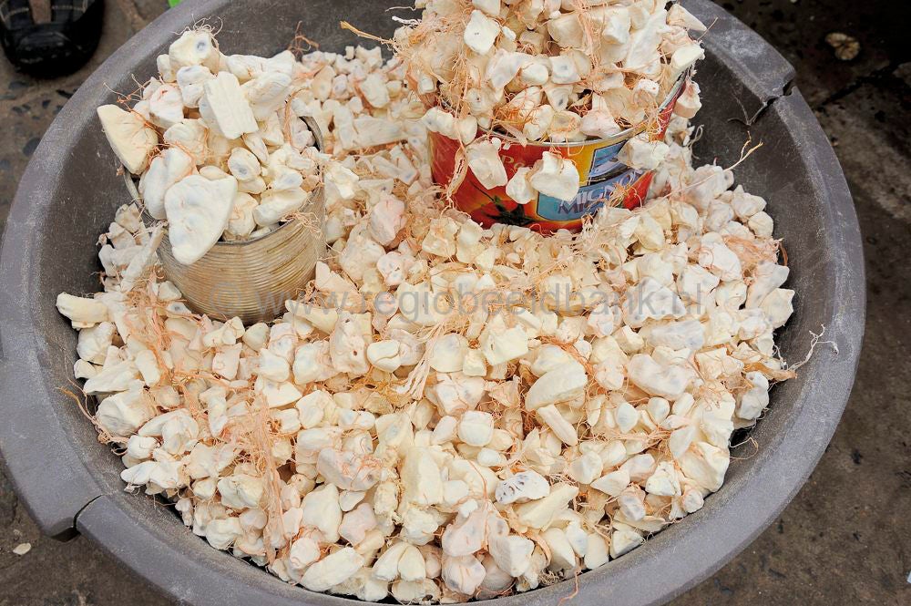 banjul_gambia_090.jpg