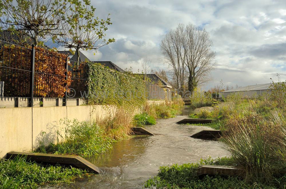barneveldse_beek_012.jpg