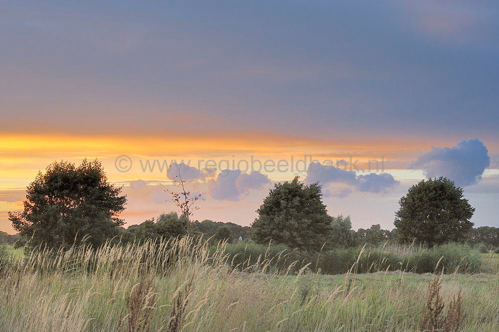 barneveldse_beek_025.jpg
